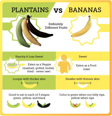 Banana Infographic