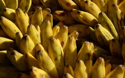 Everything You Need To Know About Bananas: Benefits And Storage Tips