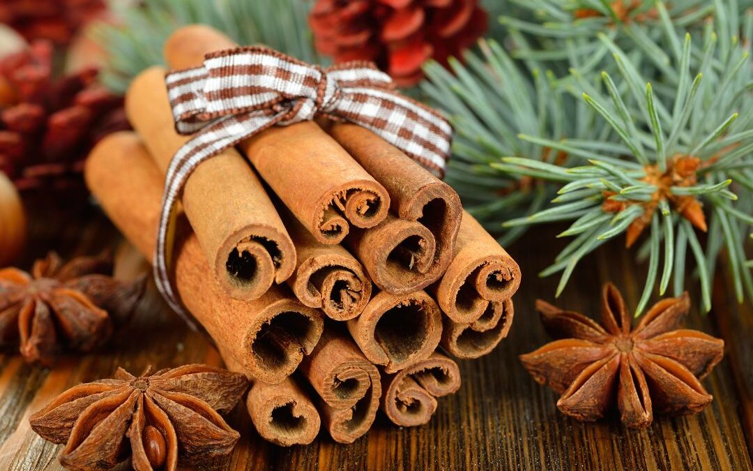 Types of Cinnamon? Know Its Common Use and Health Benefits