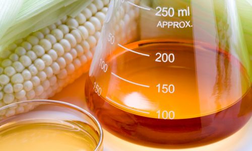 High Fructose Corn Syrup